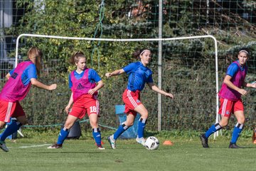 Bild 46 - wBJ HSV - SV Meppen : Ergebnis: 0:2